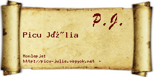 Picu Júlia névjegykártya